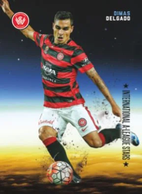 2016-17 Tap'n'play FFA A-League Soccer, International Stars, Dimas Delgado