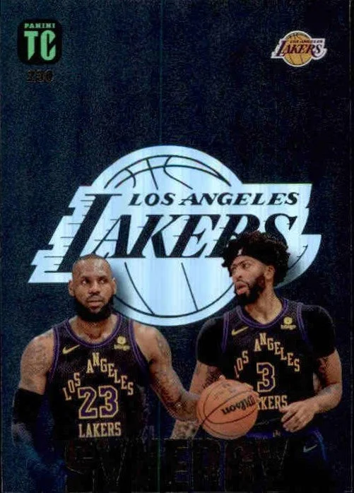 Lebron, Davis, LA Lakers, Synergy, #230, 2024 Panini Top Class Basketball NBA